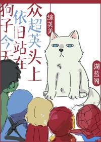 贼胆TXT奇书网