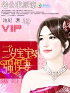真命天书徐凤年