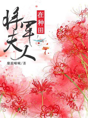 苏遥陆青城小说免费阅读
