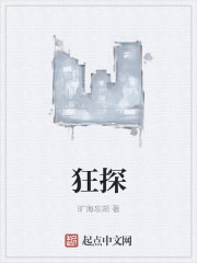 狂探苗英什么时候回来