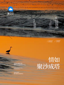 人间于此，欢喜是你