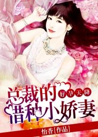 慕清锦陆颉