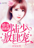 主人公冷枫的小说