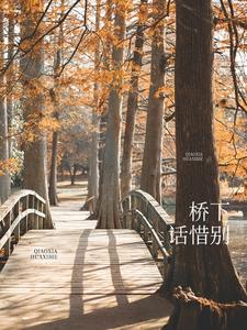 叶声声叶彻全文免费