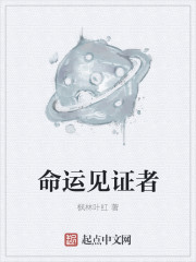 性幻想搜索体验系统