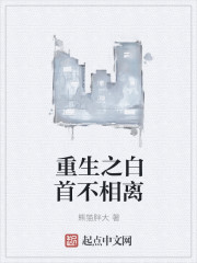 江舒傅时晏免费阅读