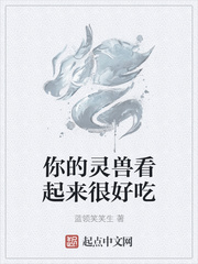 沈婉辞宋远山小说