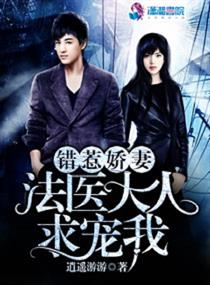 神豪陈凡左冰