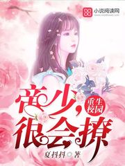 陆时尧叶澜短剧全集更新