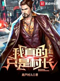 村长的傻儿子txt免费下载