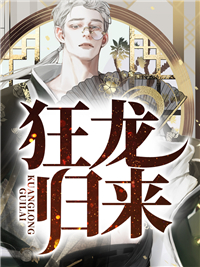 狂龙归来萧辰小说