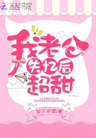 霍先生夫人没空和您复婚小说