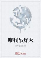 念奴娇（伪父女H）
