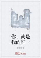 陈凤主角小说