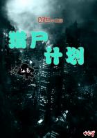 无敌从装瞎开始王凡