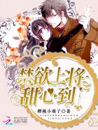 姐夫，轻点要(1V1 高H）