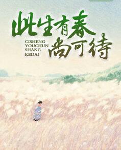 顾彦深申子衿全文免费