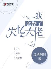 顾樱和赵长渡的小说