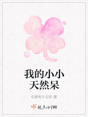 苏轻抚夜玄霆的小说名字