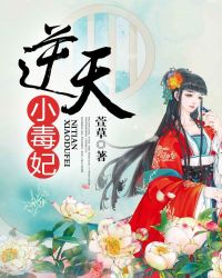 宁夜辰洛如缨小说免费阅读