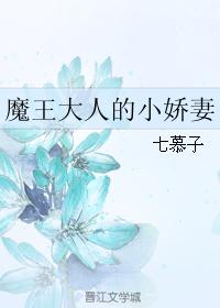 将军奴（高H）