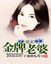 陈述苏晚晴小说在线阅读