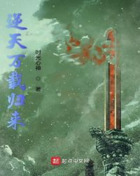 藏于昼夜秦棠张贺年小说免费阅读