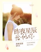 昨夜星辰又逢君原文免费阅读
