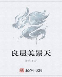 良辰美景奈何天作者