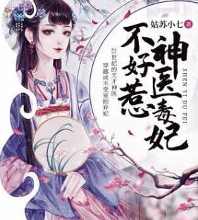 冷面王爷免费小说